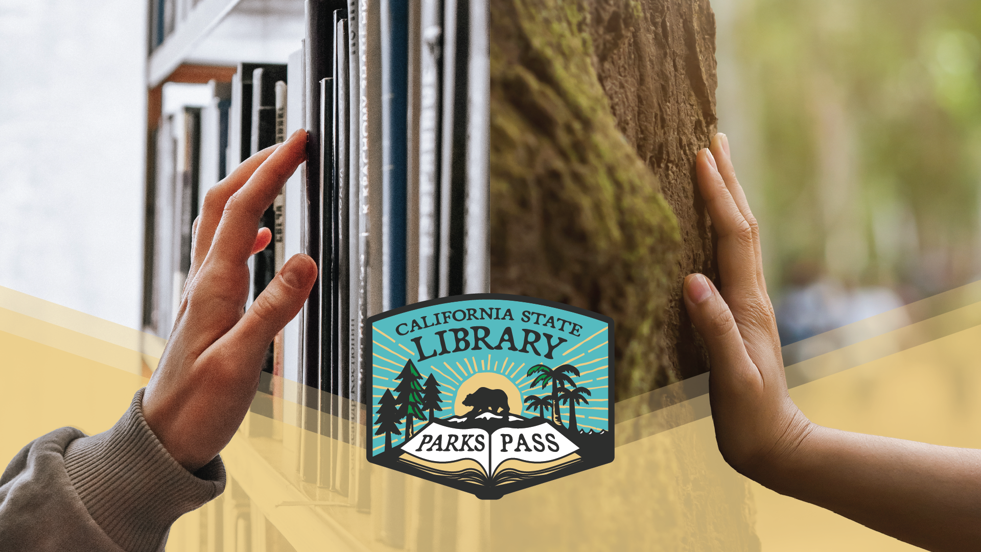 Session Programs and Events – Library