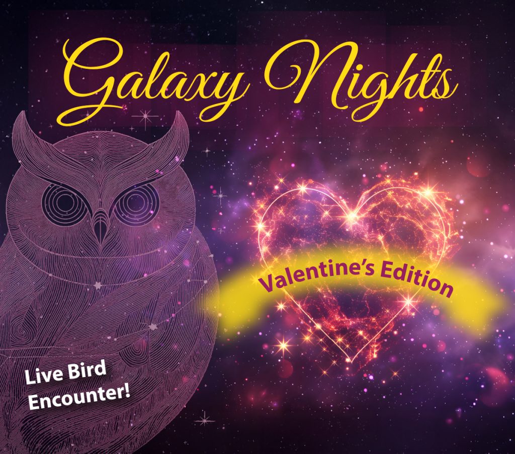 Illustrated event banner titled 'Galaxy Nights: Valentine's Edition' features an owl against a starry background with a glowing heart. Date: February 13, 7-9 PM. Organized by San Bernardino County Library.